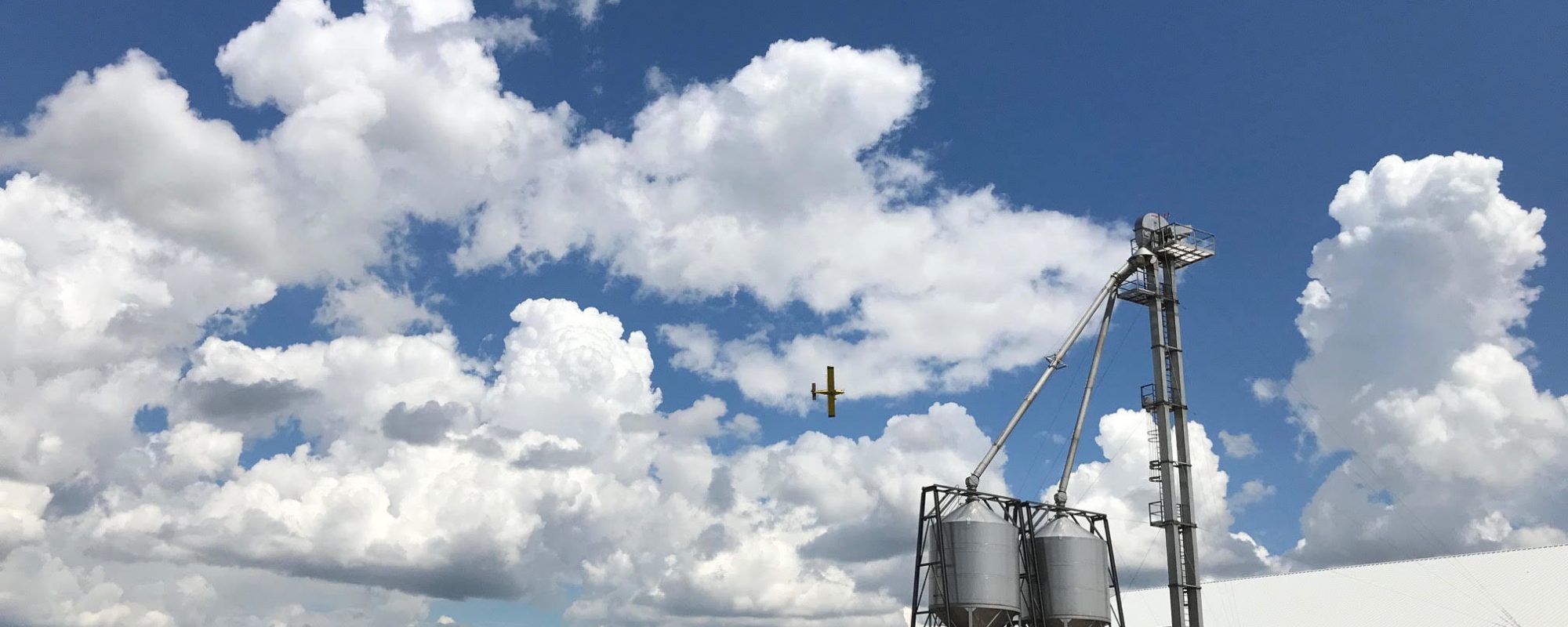 What Our Customers Say