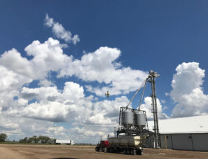 What Our Customers Say